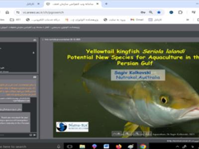 برگزاری نشست علمی تخصصی تکثیر و پرورش شاه ماهی دم زرد گونه ی سریولا لالاندی