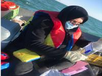 آغاز عملیات اجرایی  پروژه تحقیقاتی بررسی شکوفايي ريز جلبکها در خليج فارس و دریای عمان (استان هرمزگان) با استفاده از تصاوير ماهواره اي