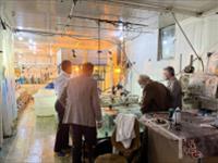 بازدید از سایت شرکت دانش بنیان تکثیر و پرورش ماهیان زینتی آب شور دریایی