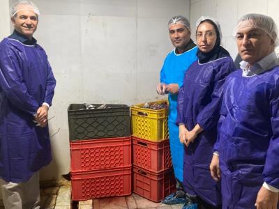 تأکید بر توسعه همکاری‌های علمی و صنعتی در بازدید رئیس پژوهشکده اکولوژی خلیج فارس و دریای عمان از کارخانه تون‌ماهی بندرعباس