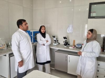 بازدید متخصصان بهداشت و بیماری‌های آبزیان پژوهشکده از سایت پرورش میگوی شور اول بندرعباس