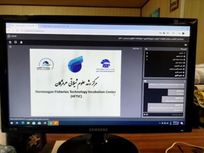 نشست راهبردی راه‌اندازی مرکز رشد با مشارکت پژوهشکده اکولوژی خلیج فارس و دریای عمان و پارک زیست‌فناوری خلیج فارس قشم برگزار شد